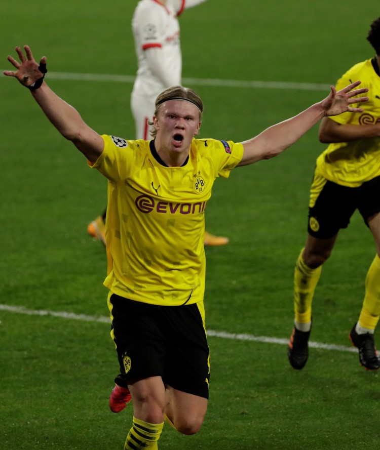 体育界的互 体育界的互