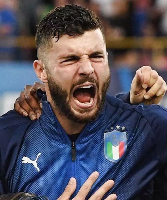 切断了森林 切断了森林