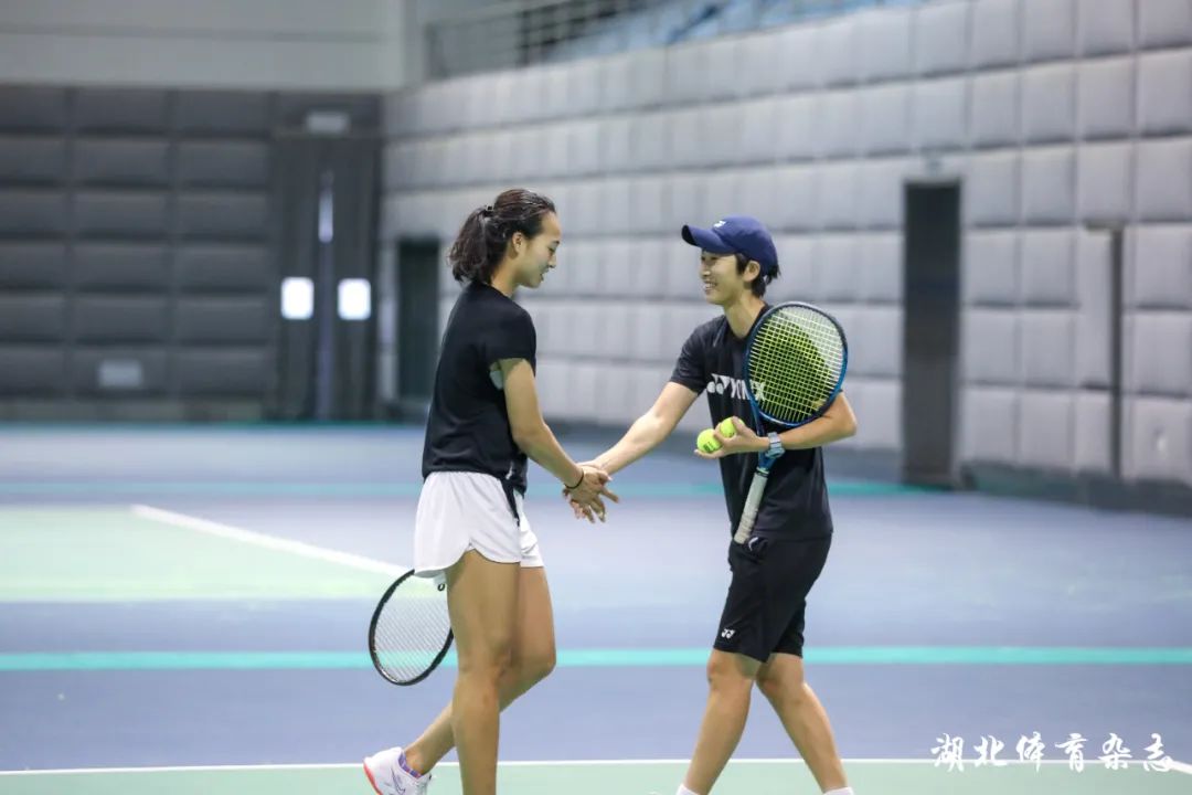 提供了文化 提供了文化