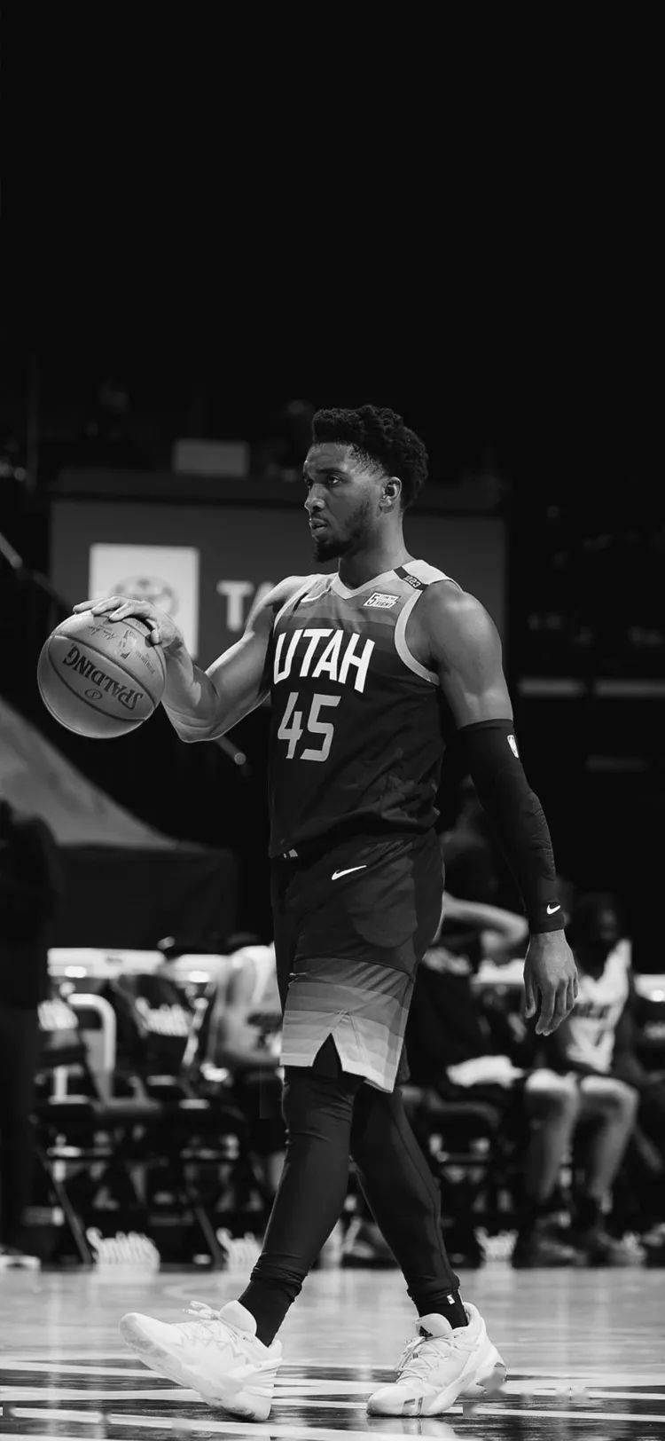 观众在指定 观众在指定